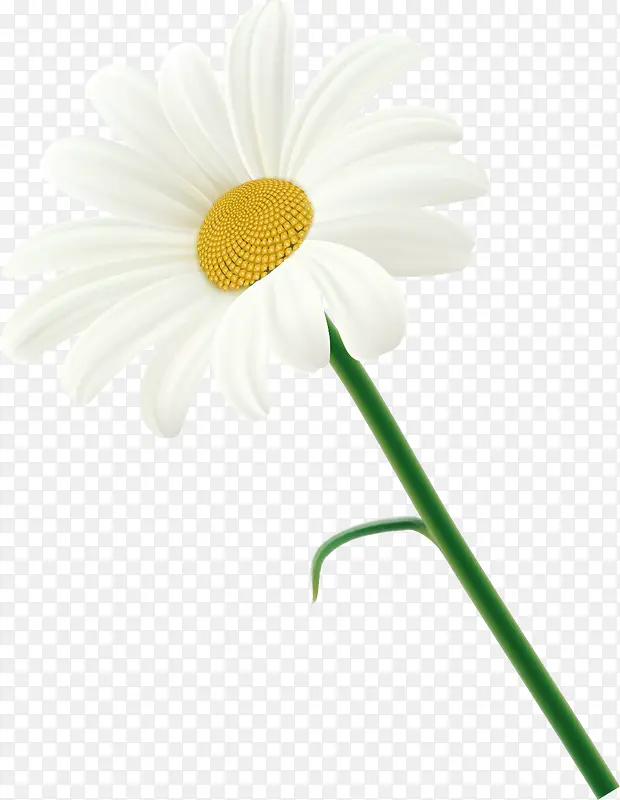 �ջ�װ�����ʸ��-������