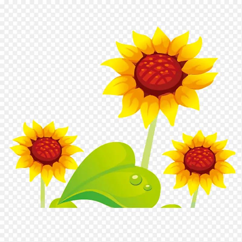 ��ͨ�ջ�-������