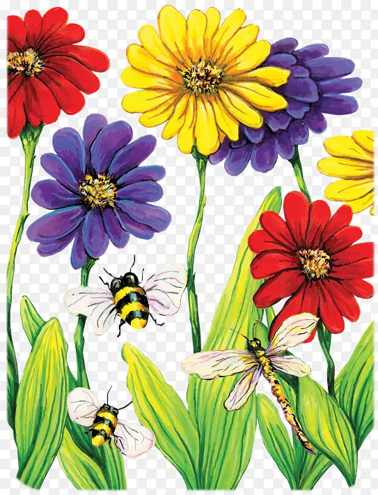 ��ɫ�ջ�-������