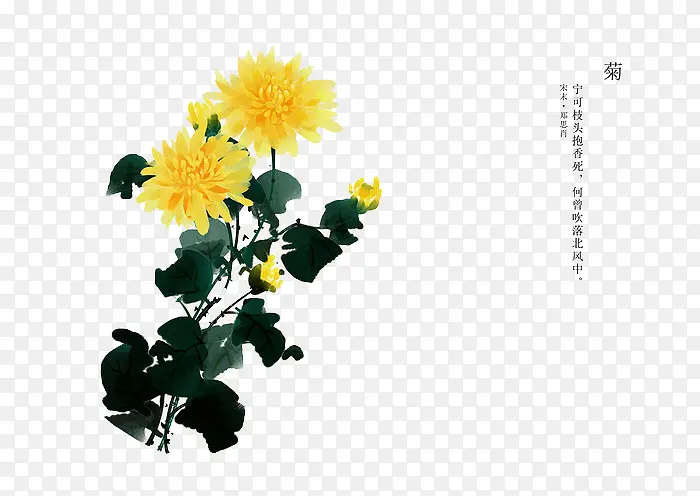 �ֻ滨��-������