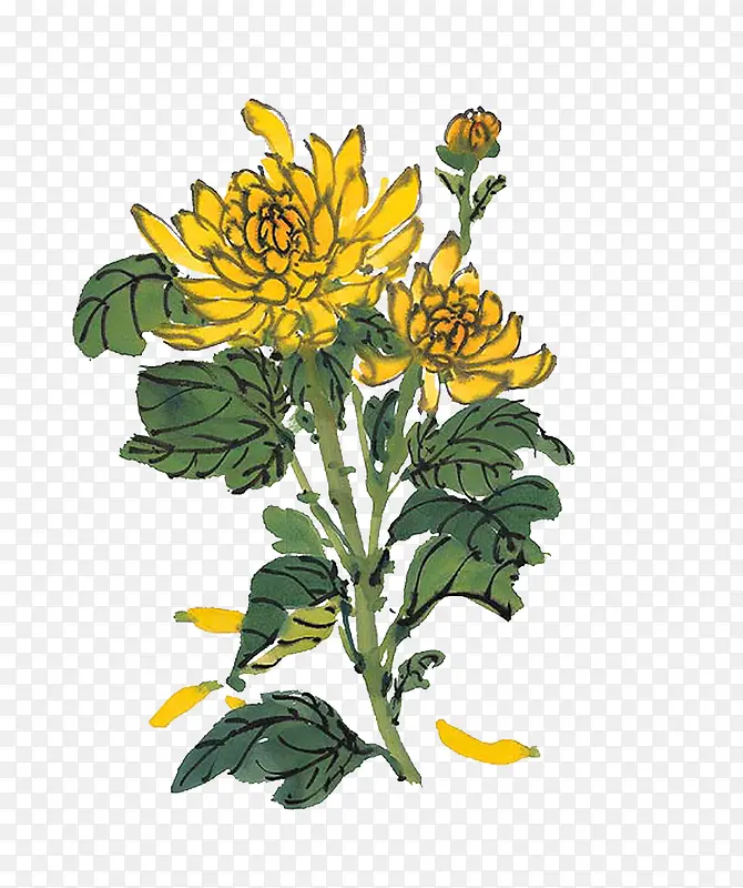 �ֻ�ջ�-������