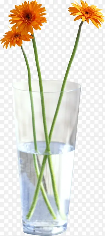 ��ɫ�ľջ�-������