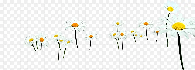 ��ɫ���ջ���װ��-������