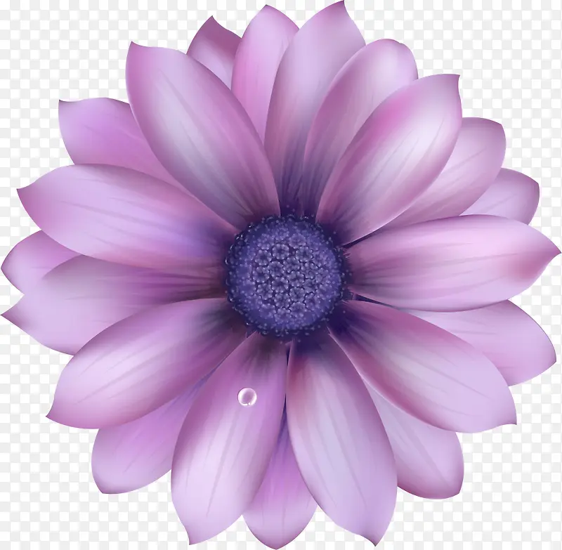 �ֻ���ɫ�ջ��廭-������