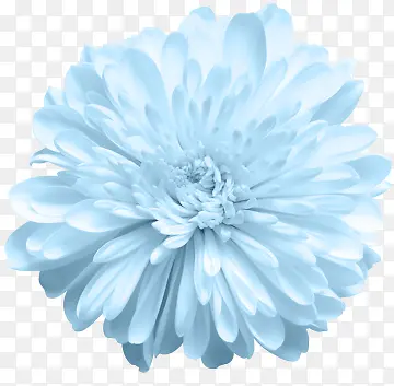 ���͸����ɫ�ջ�-������