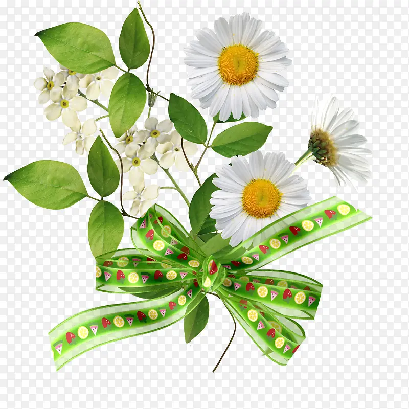 ��ɫ�ջ�������-������