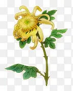 �ջ��ز�-������