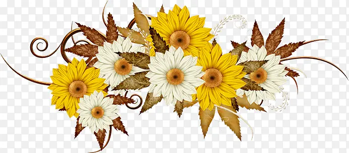 ��ɫ�ջ���ɫ�ջ�-������