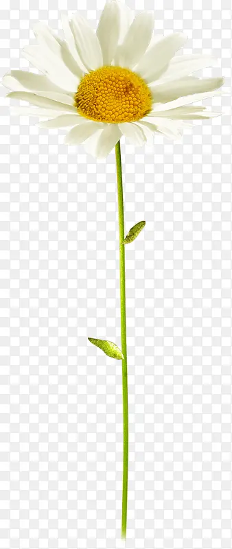 ��ɫ�ջ�װ��-������