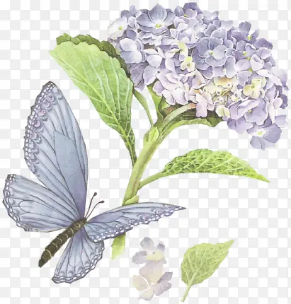 ˮ�ʾջ�����-������