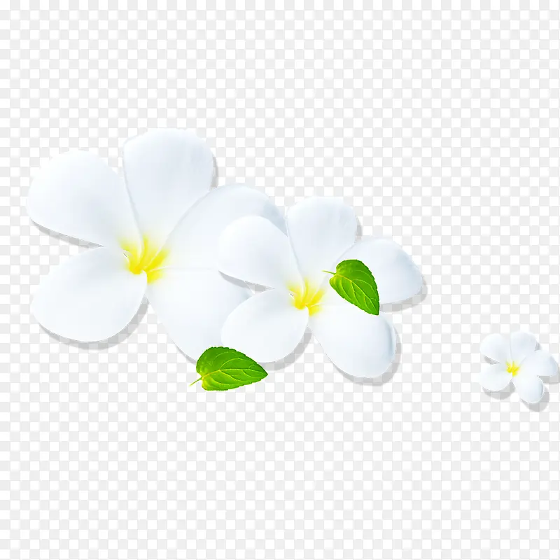 �ֻ��ɫ����С��-������