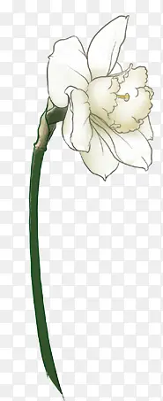 �ֻ��ɫС��ֲ��-������