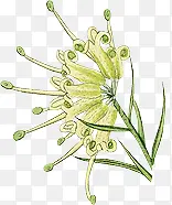 �ֻ��ɫС����-������