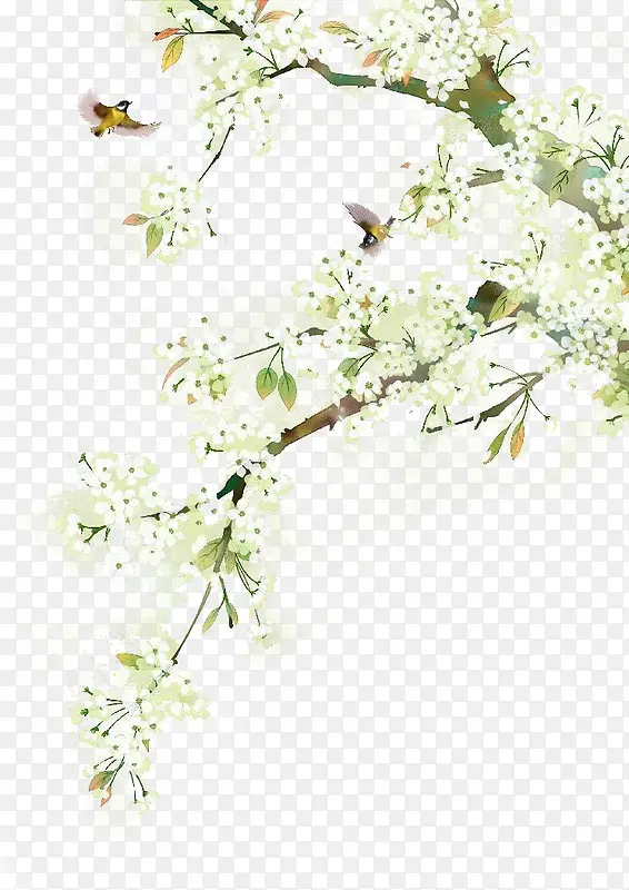 ��ɫС���ֻ�Ψ��-������