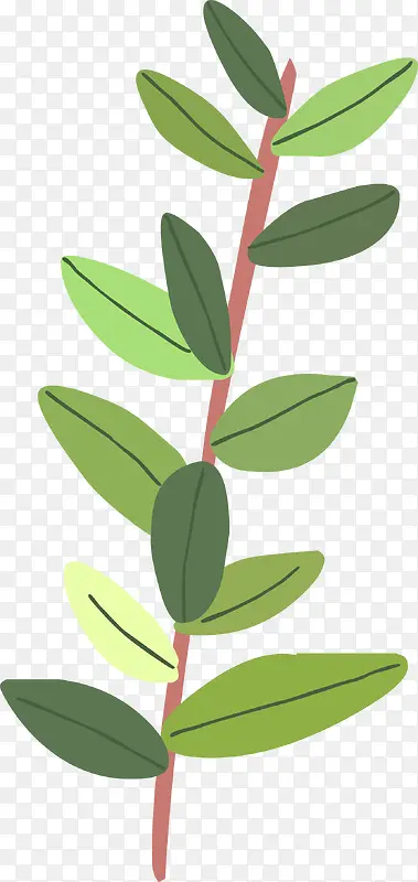 �ֻ���֦-������