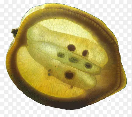 ����ˮ���ͻ�-������