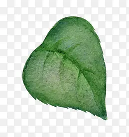 ˮī�ͻ�ˮ����Ҷ-������