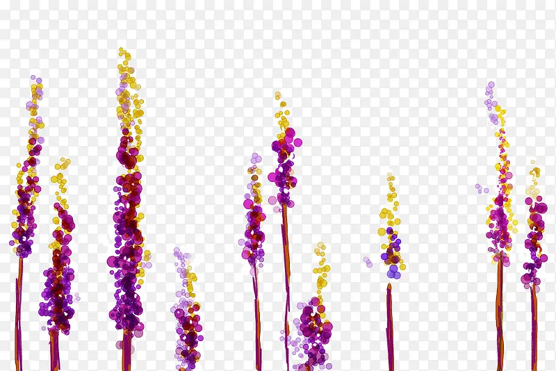 ޹�²�-������