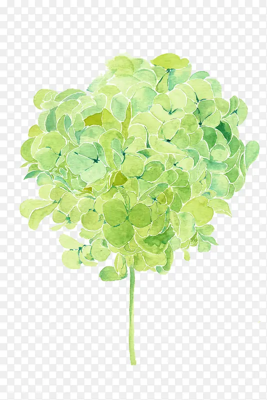 �廭��-������