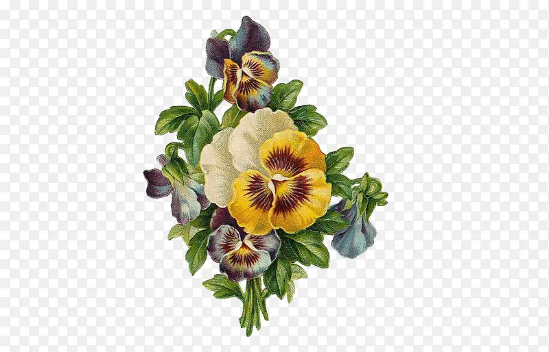 �ͻ��廭-������