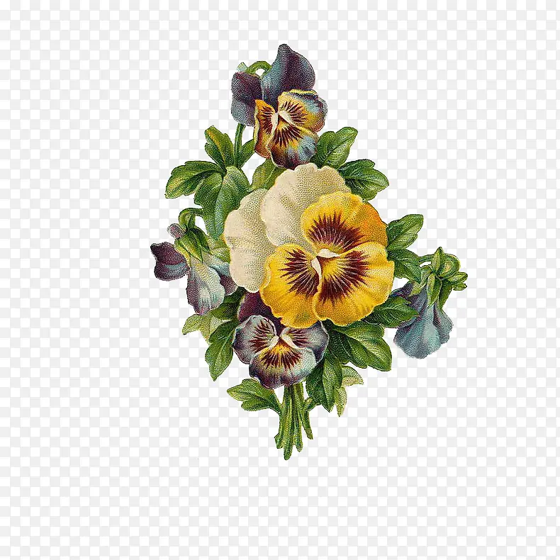 �ɲ廭��-������