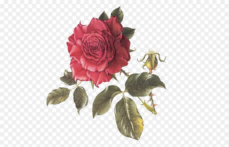 õ�廨�ͻ�-������