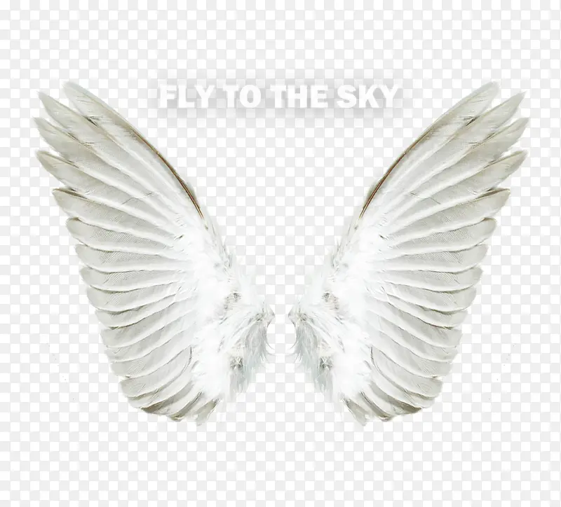 ���޳��-������