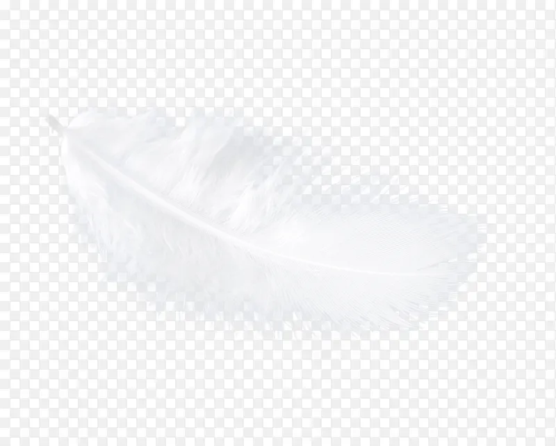 ��ɫƮ��ë-������