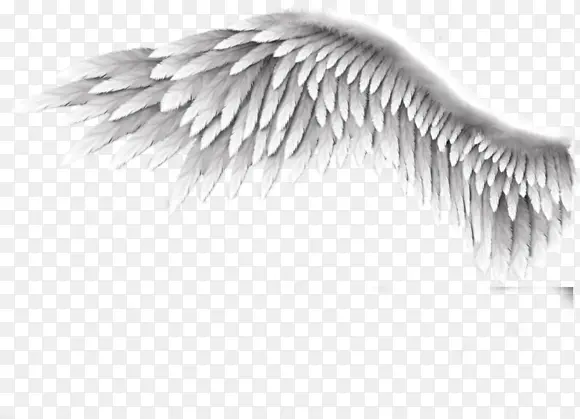 ��ɫ��ë-������