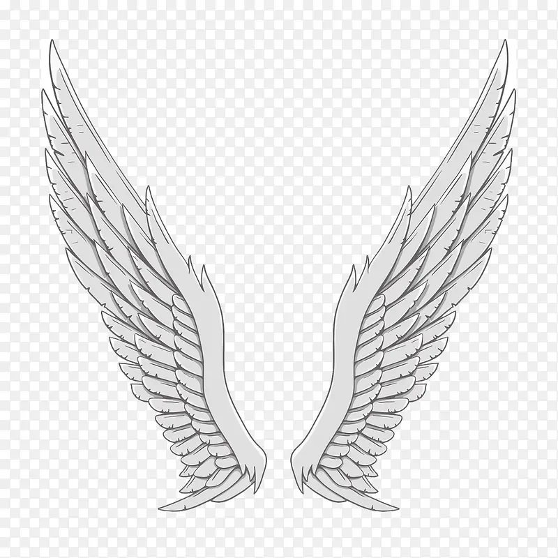 ��ɫ���-������