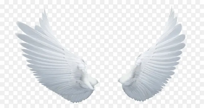 ��ɫ���-������