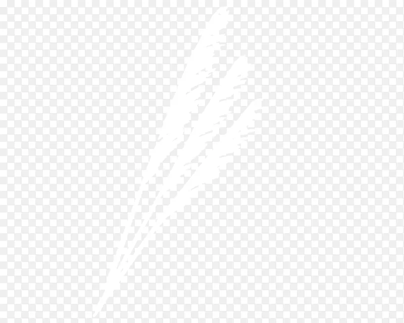 ��ɫ����ëʸ��ͼ-������