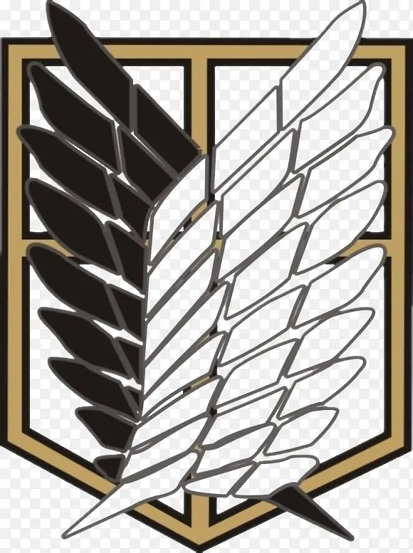 �ڰ�ɫ��ë�߿�-������