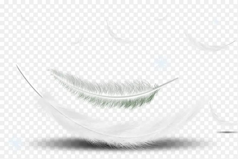 ��Ƭ��ɫ��ë-������