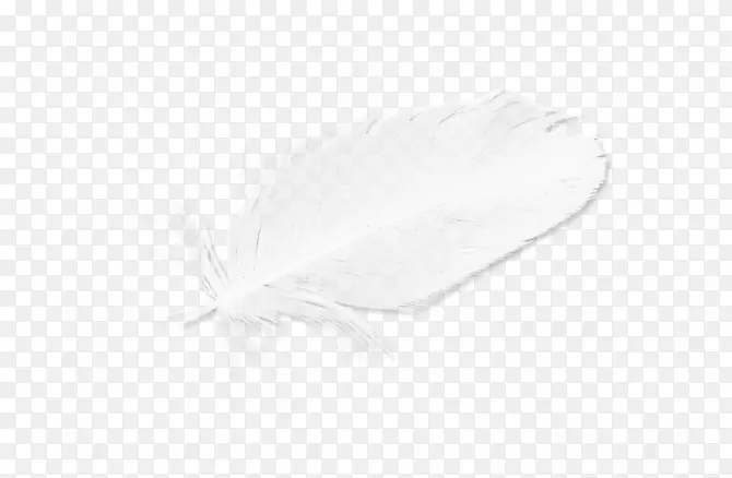 ��ɫ��ë-������