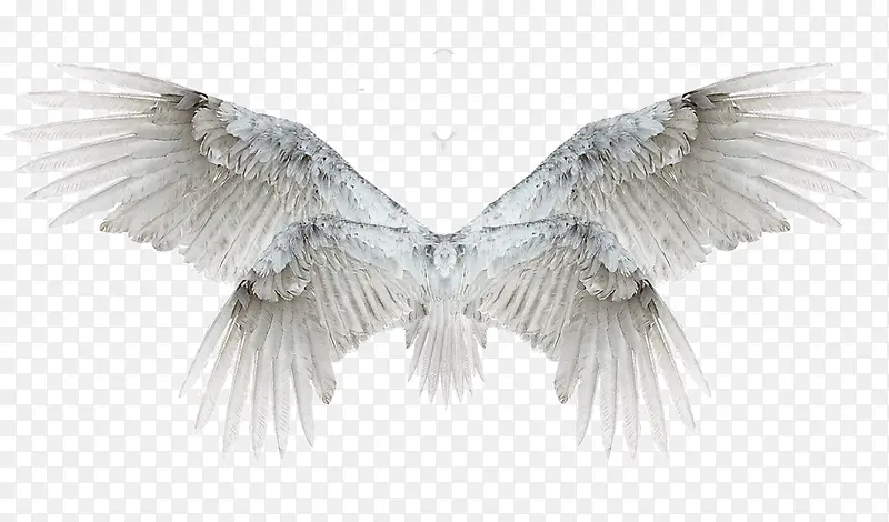 ���-������