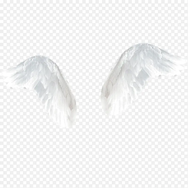 ��ɫ���-������