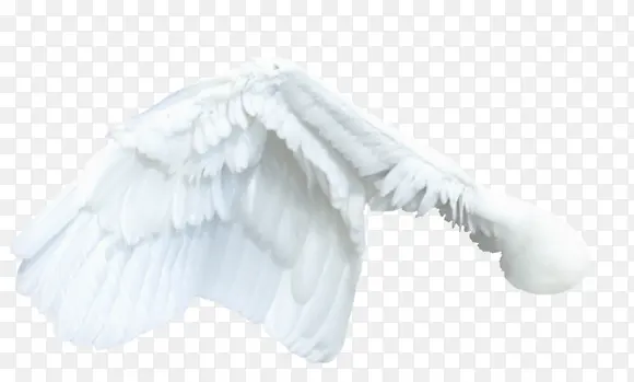 ��ɫ���-������