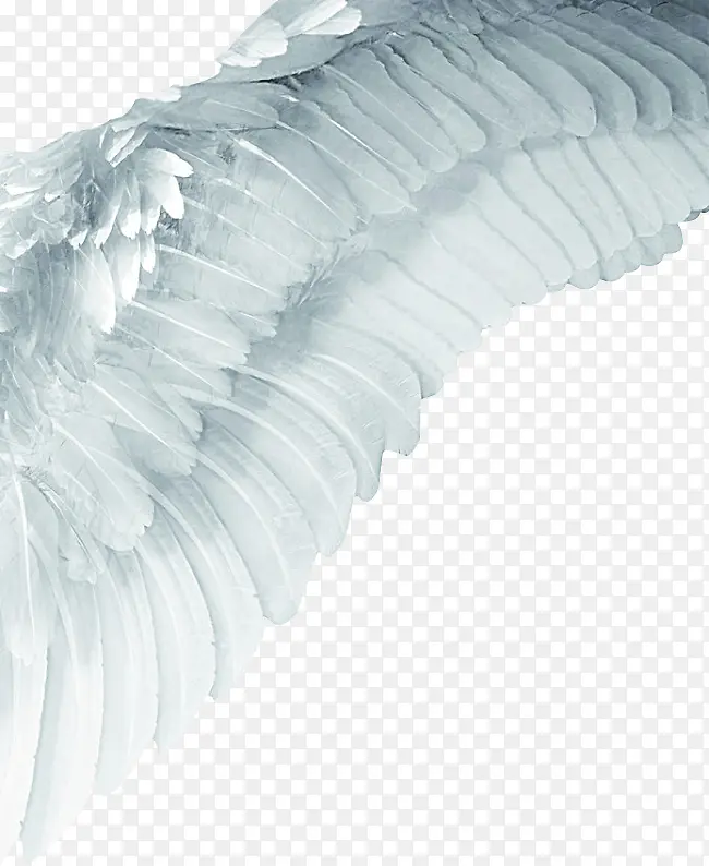 ���-������