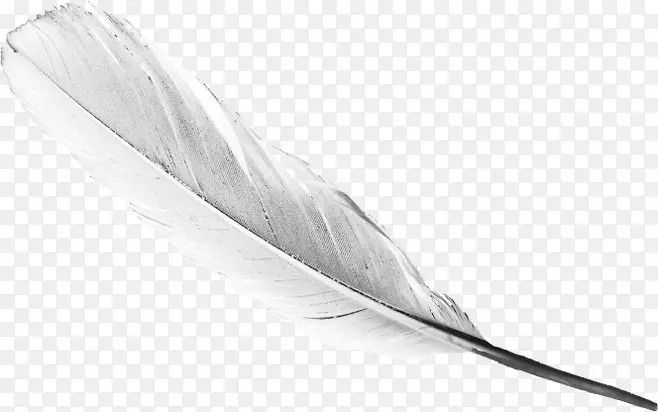 ��ɫ��ë-������