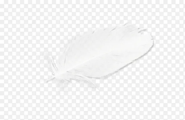 Ư����ɫ��ë-������