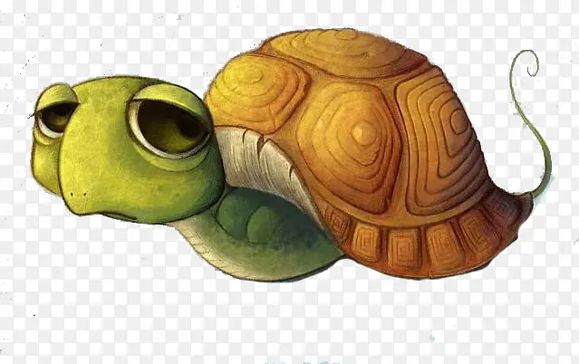 ��ͨ�ڹ�-������