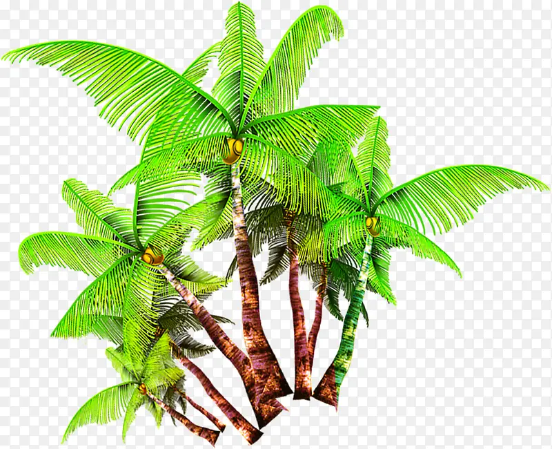 �㽶����ͨ�زĶ�ͯ���ز�-������