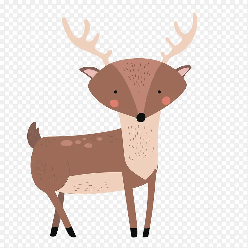 ��ͨС���¶���װ�κ������С¹-������