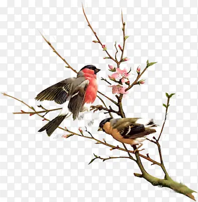 ����ͼ��-������