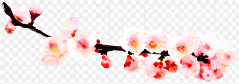 ����������һ���֦-������