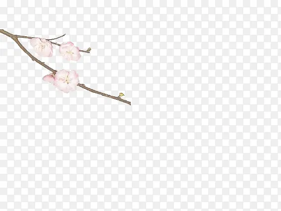 �һ���֦������������ز�-������