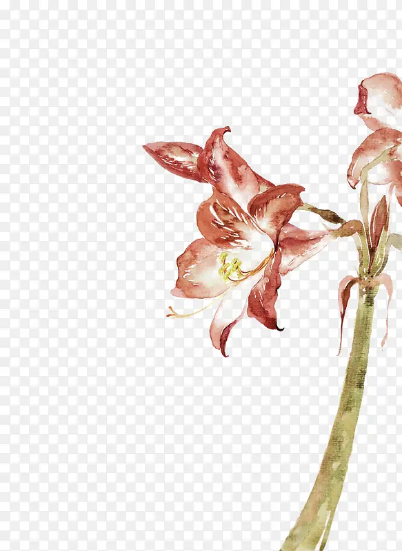 ˮ���һ���ֲ֦��-������