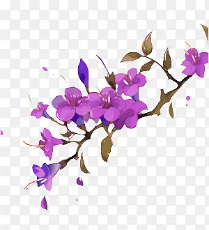 �ֻ��һ���֦��֦����֦-������