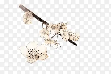 ˮ���һ���ɫ��֦-������